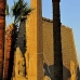 temple_luxor_lux_v_0187_egy3672.jpg